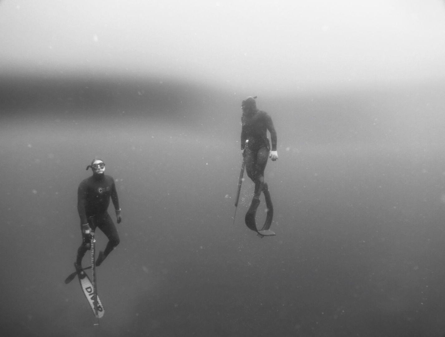 Shallow Water Blackout Physiology wins everytime FLETCHER TECHNIQUES